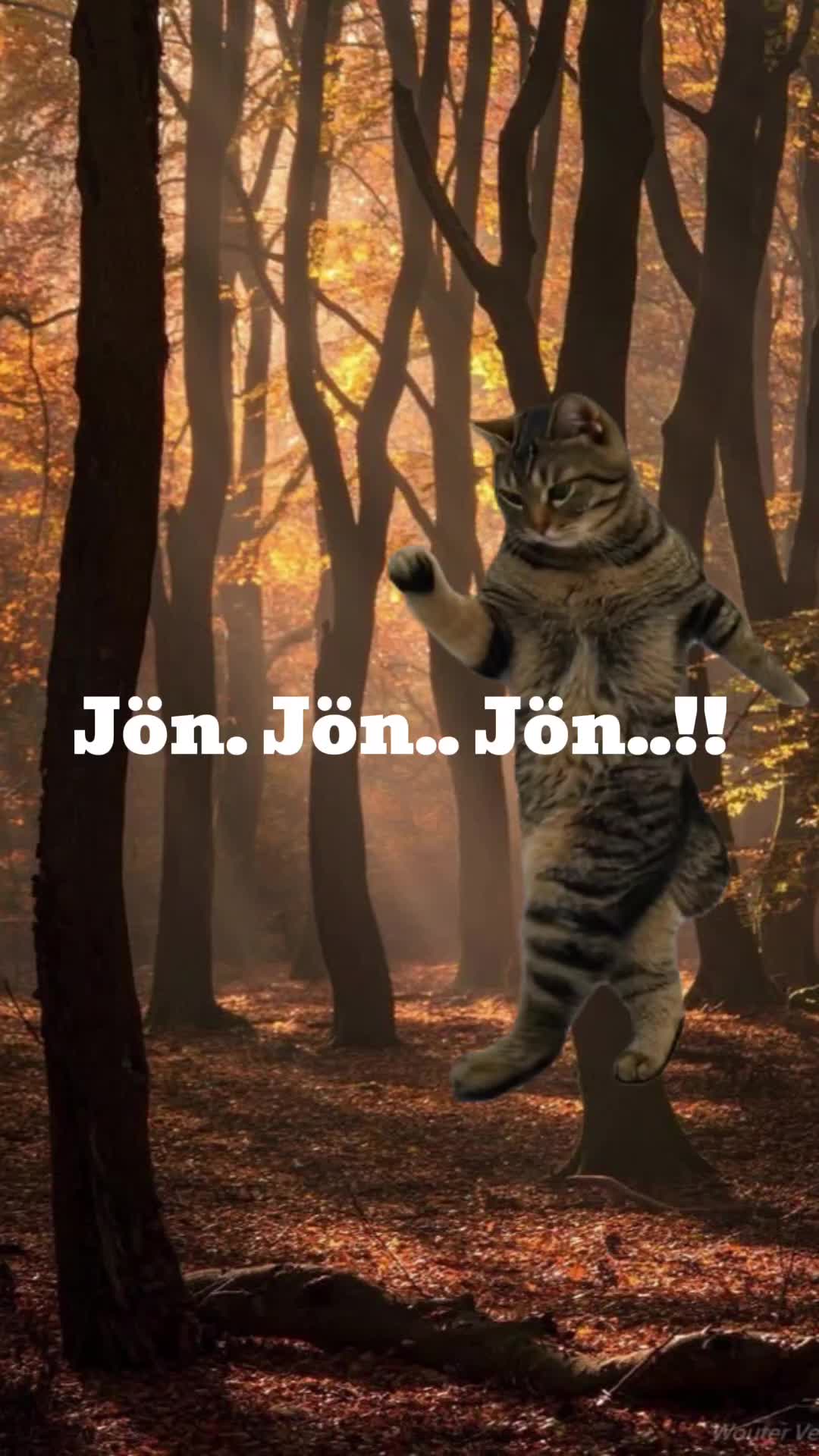 @✨𝓥𝓮𝓻𝓲𝓽𝓪 𝓓𝓸. ✨🪄