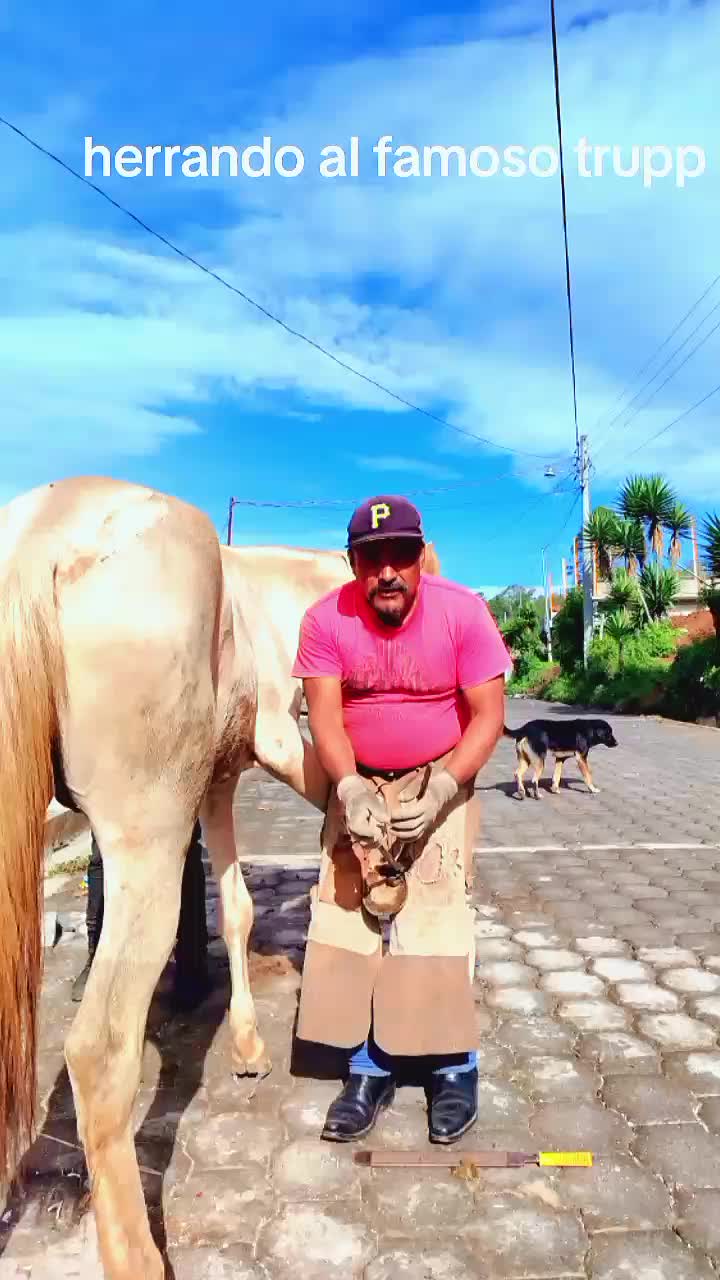 @Gerson sosa