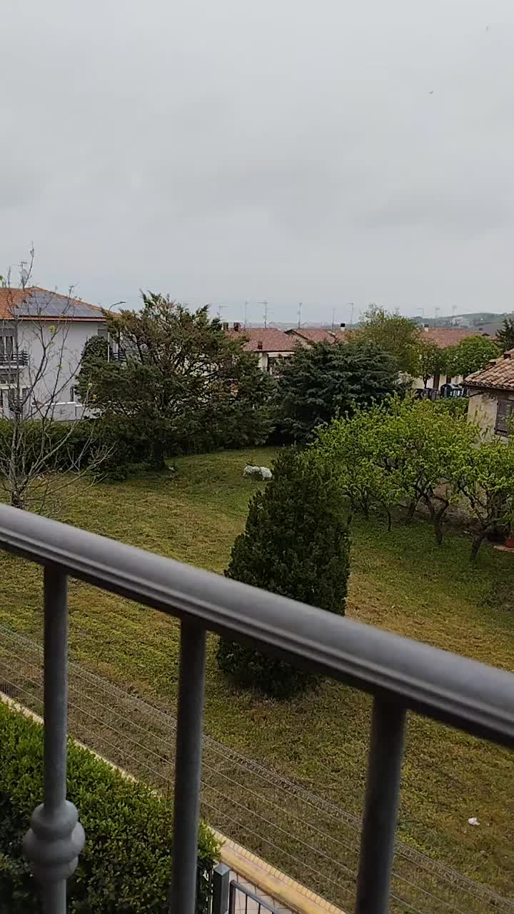@michybezzi