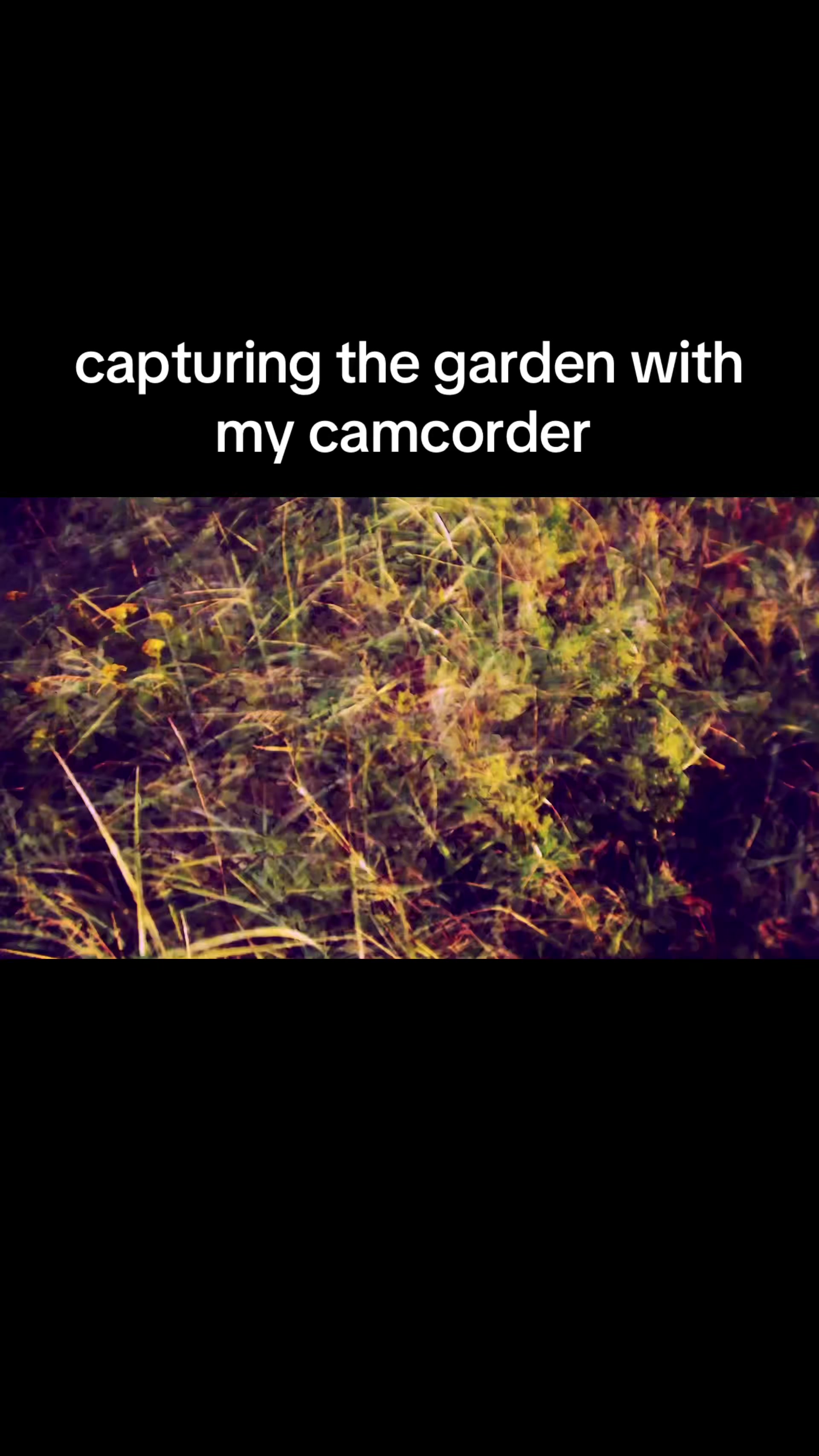 @film_obscura_lab