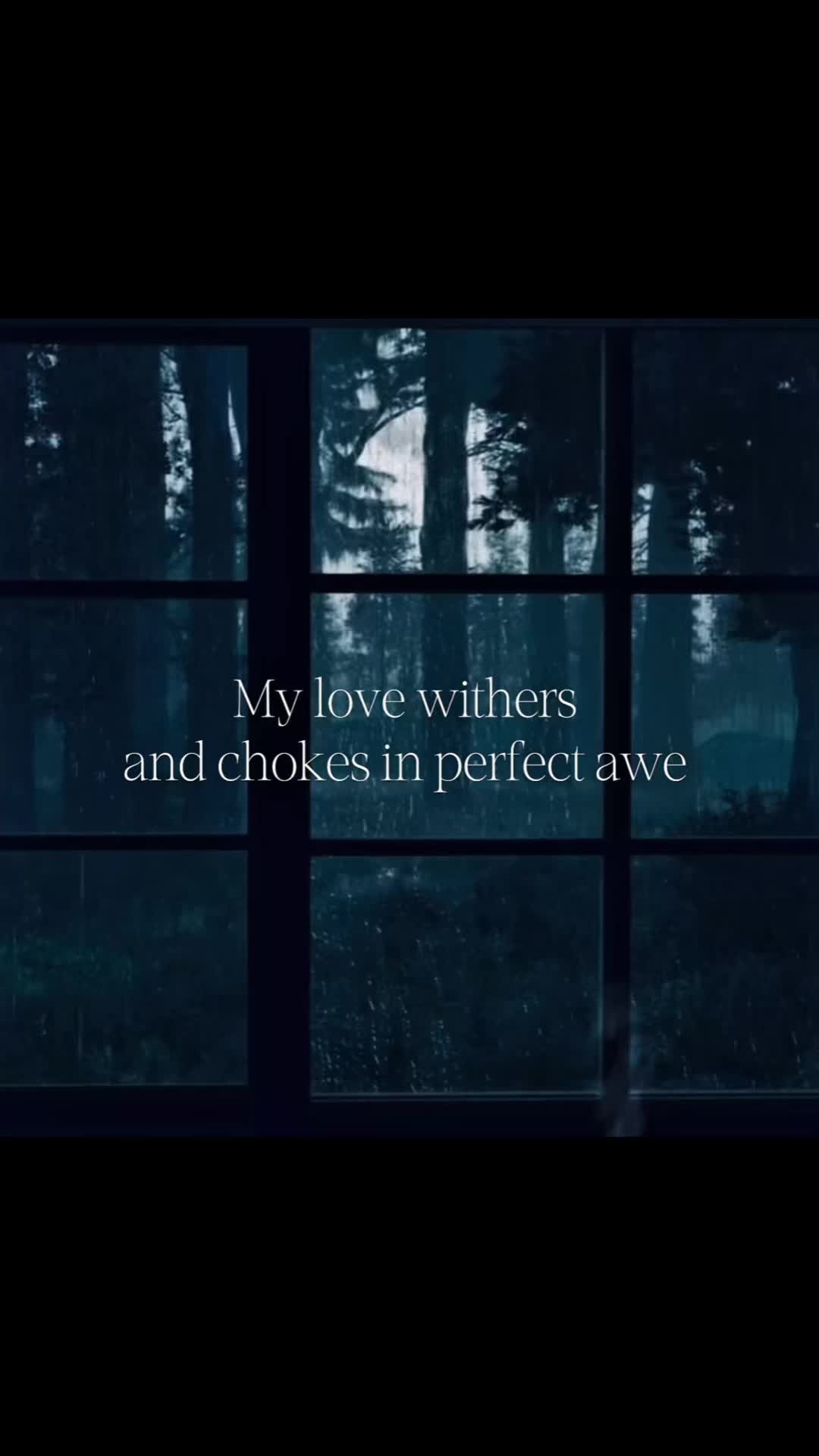 @✩A𝖘𝖍𝖑𝖊𝖊✩