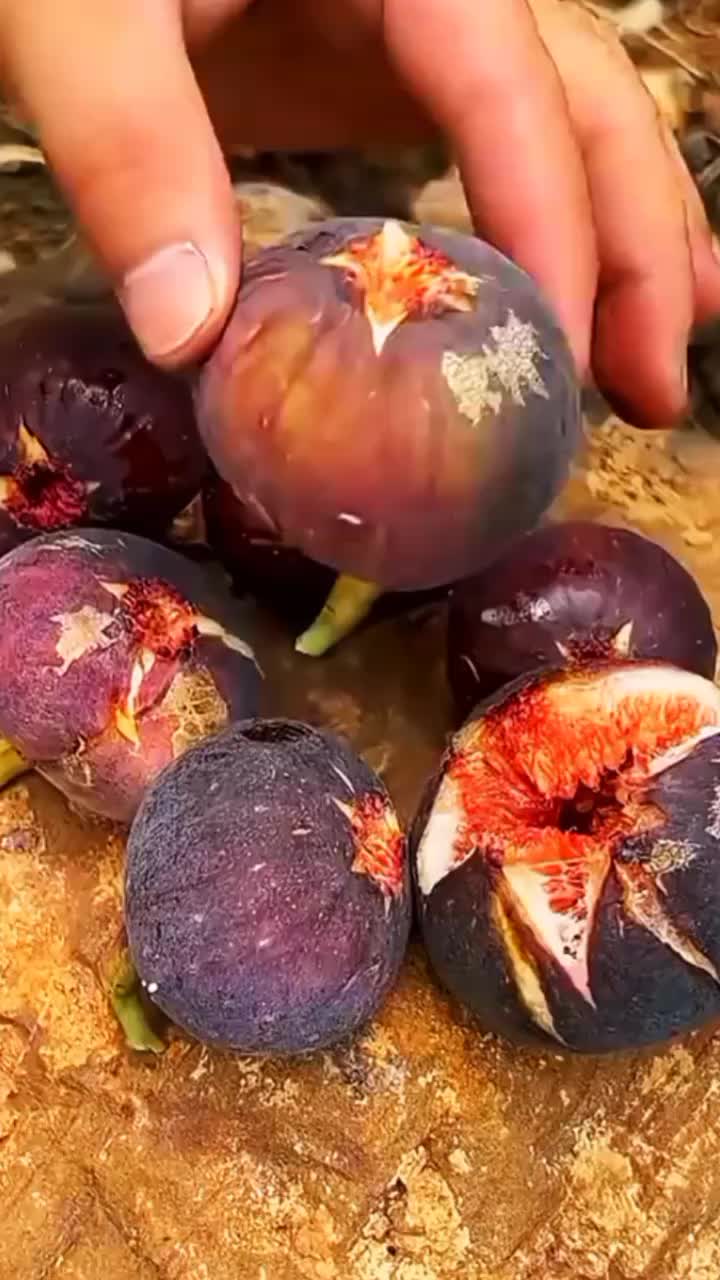 @◉‿◉