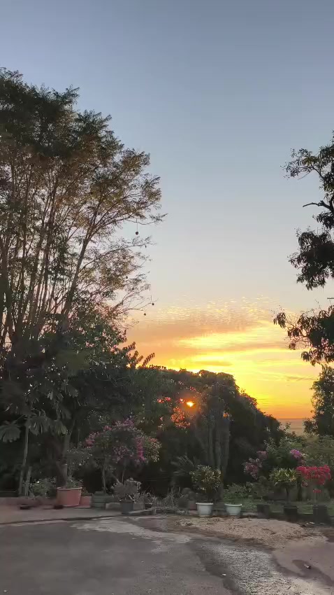 @IRA&Iacute; ANTUNES