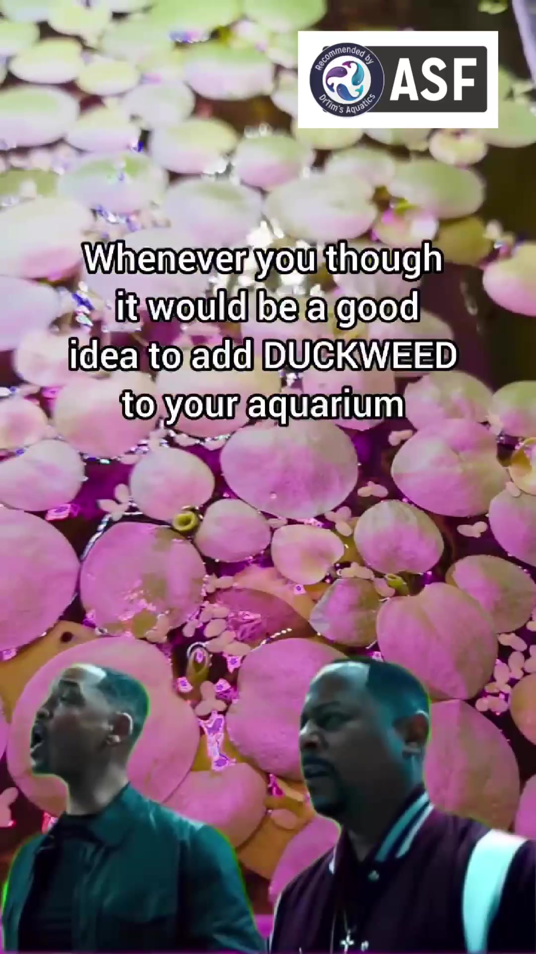@DrTim