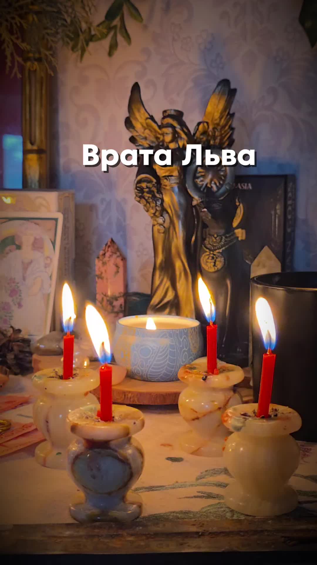 @aliceeback ~ магия жизни