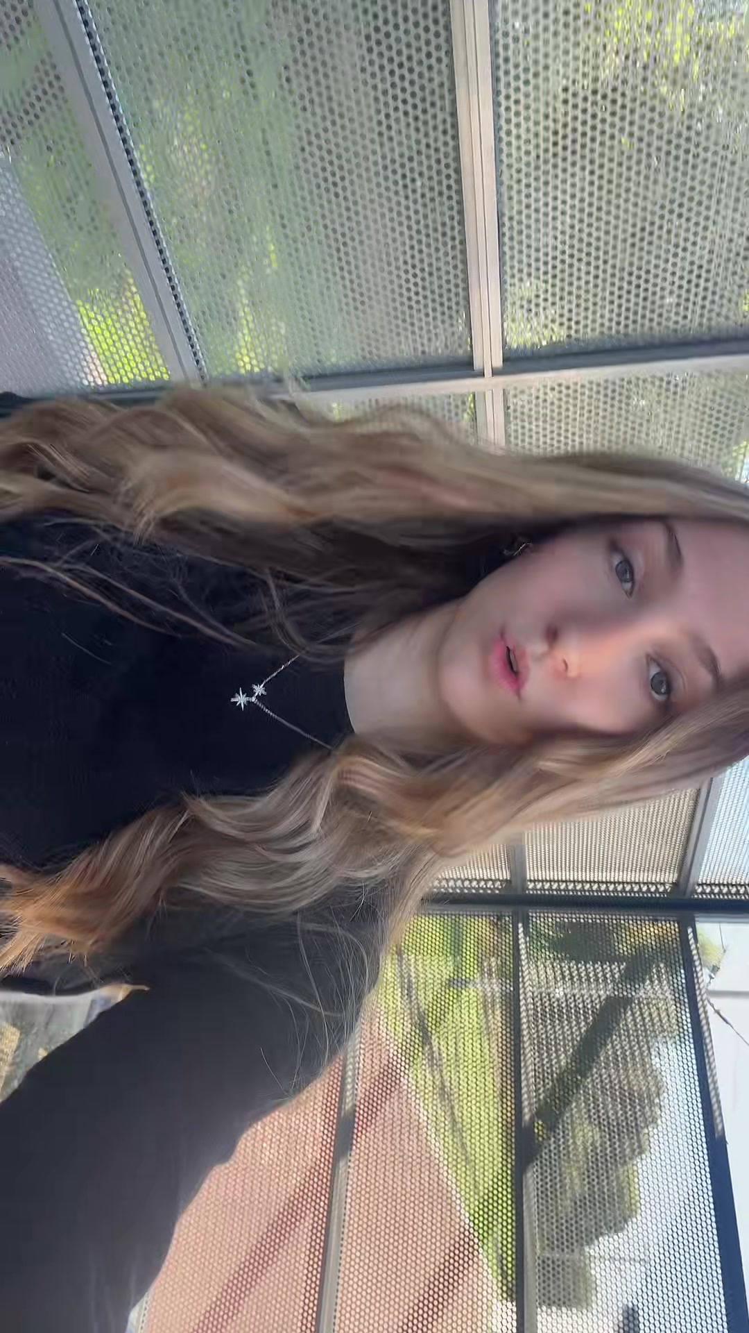 @🐝