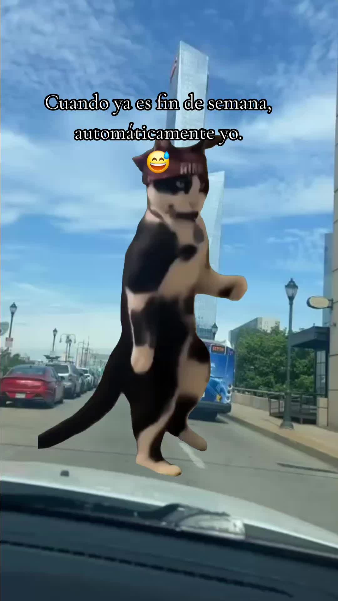 @🇲🇽Guli.Carrada 🐈&zwj;⬛