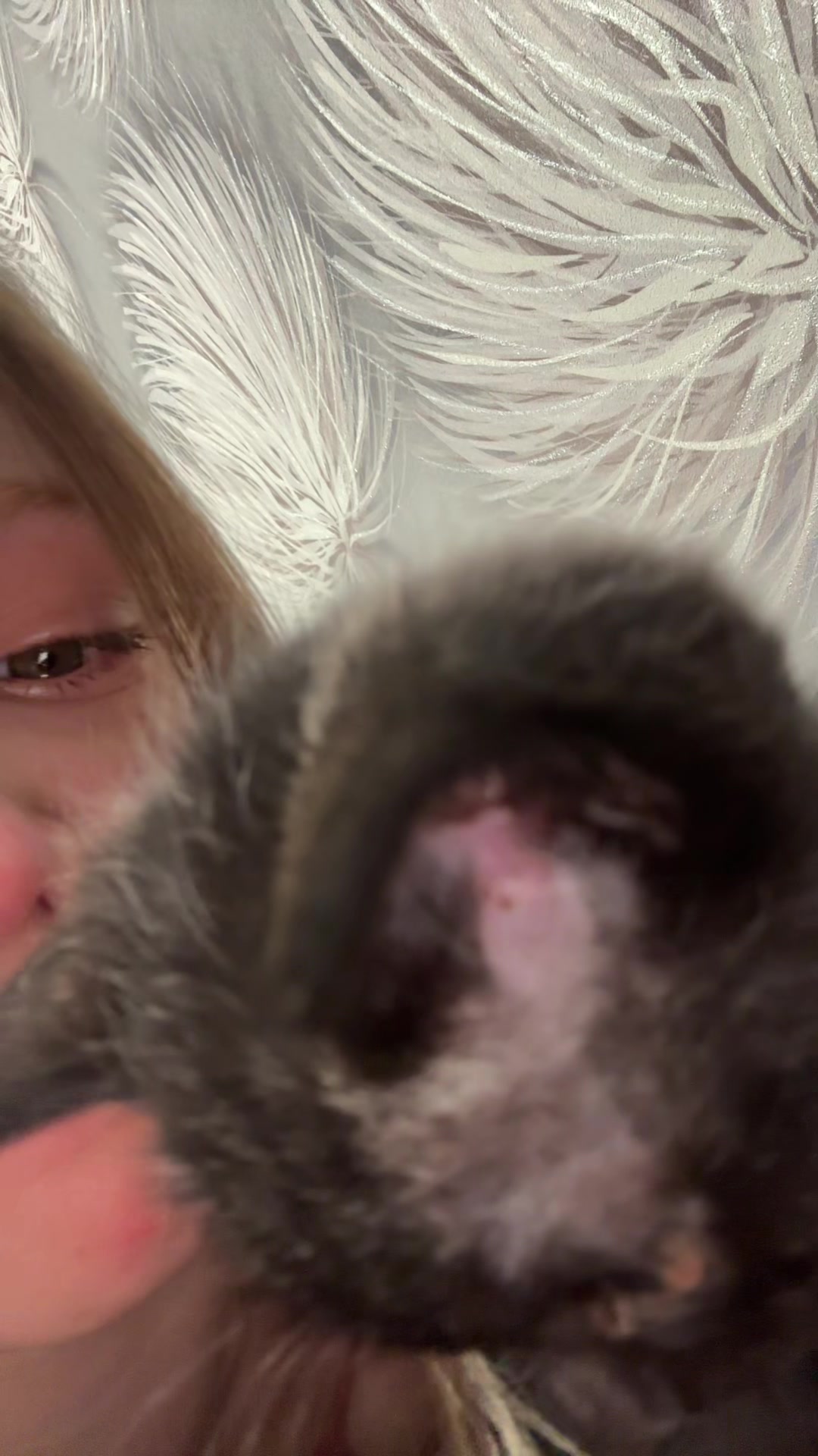 @Тгк Нежный ум