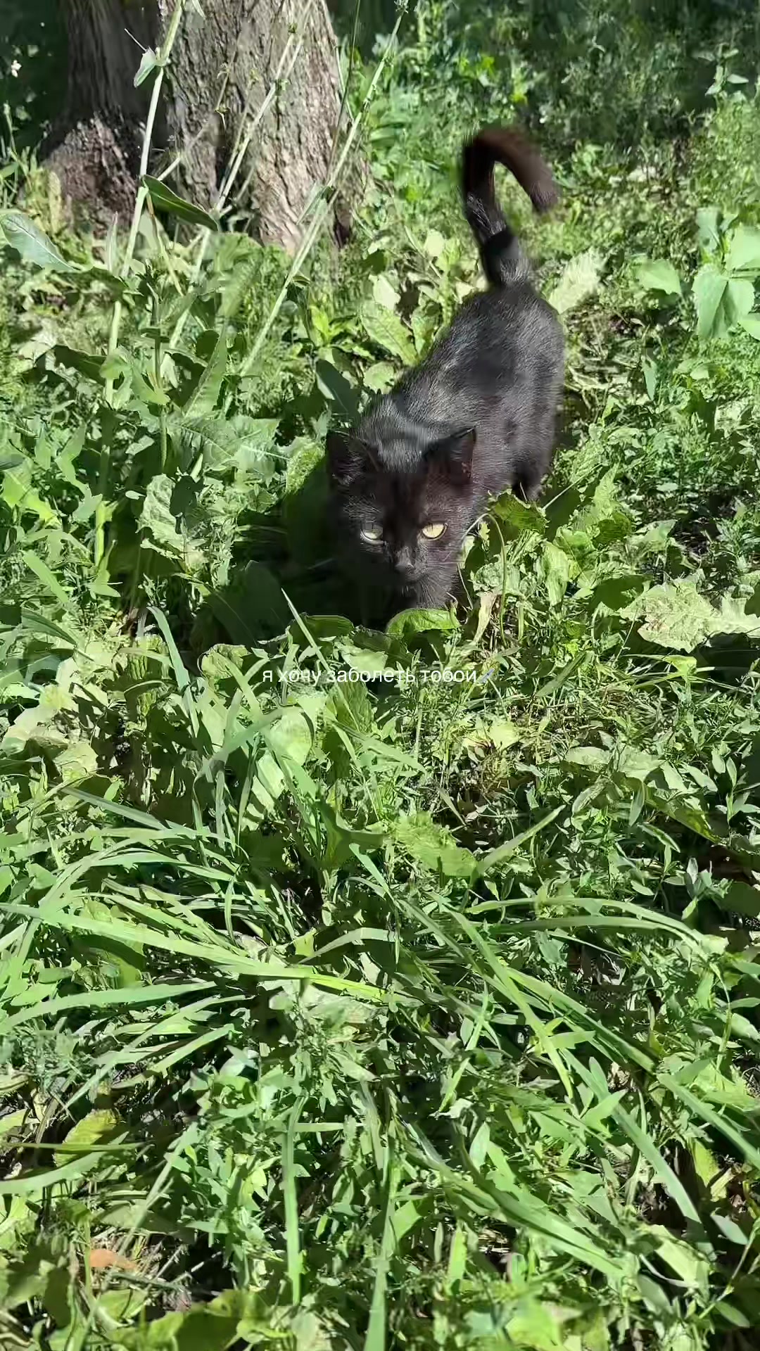 @вдшка 👅