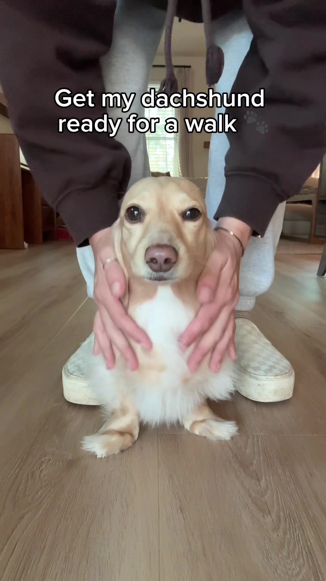 @Billiebeantheween