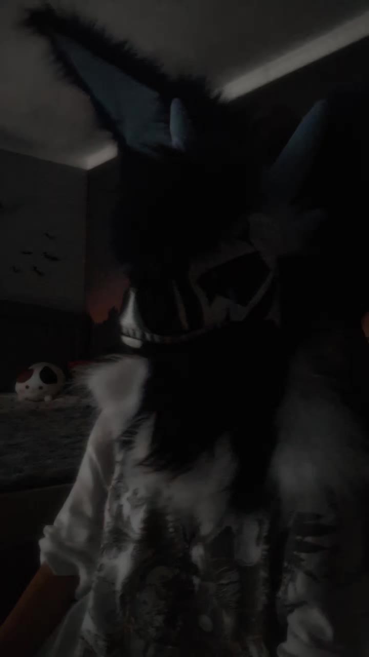 @𝔛𝔢𝔫𝔞⋆♱