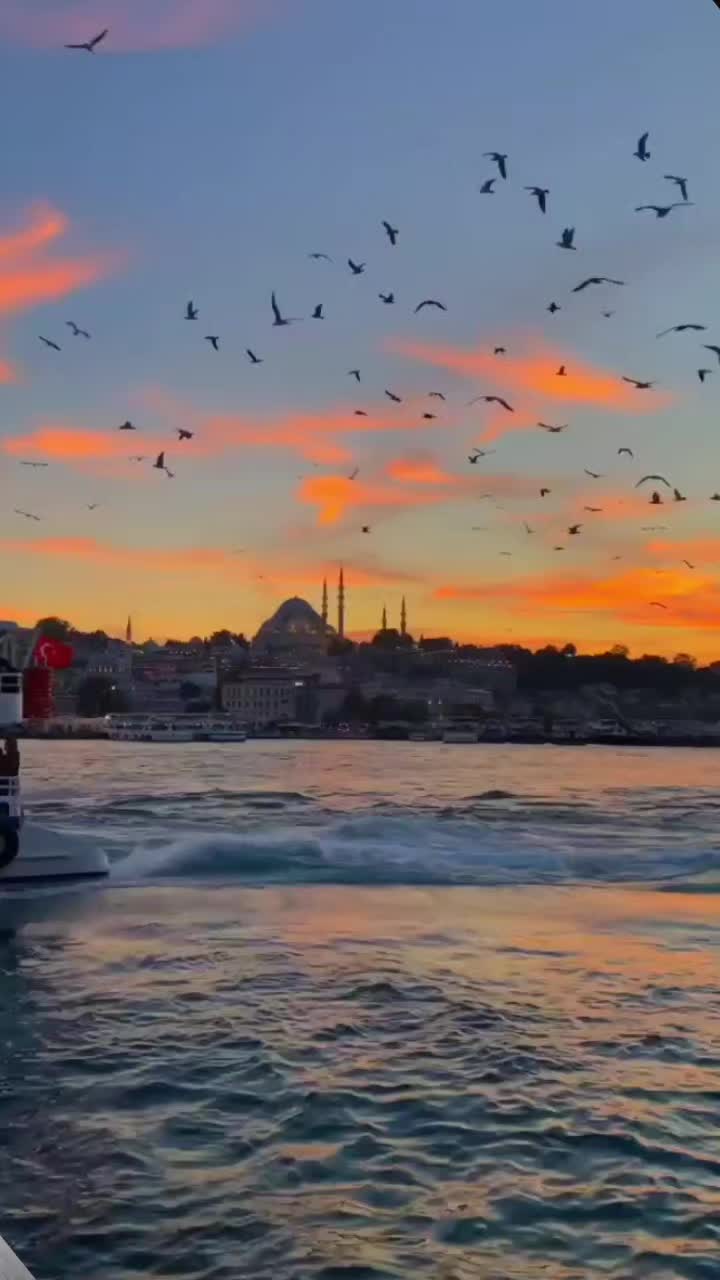 @Rifat & Sulbiye