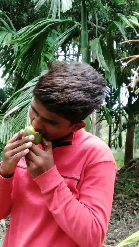 @veeresh np