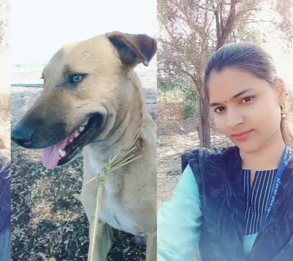 @Waman Jadhav