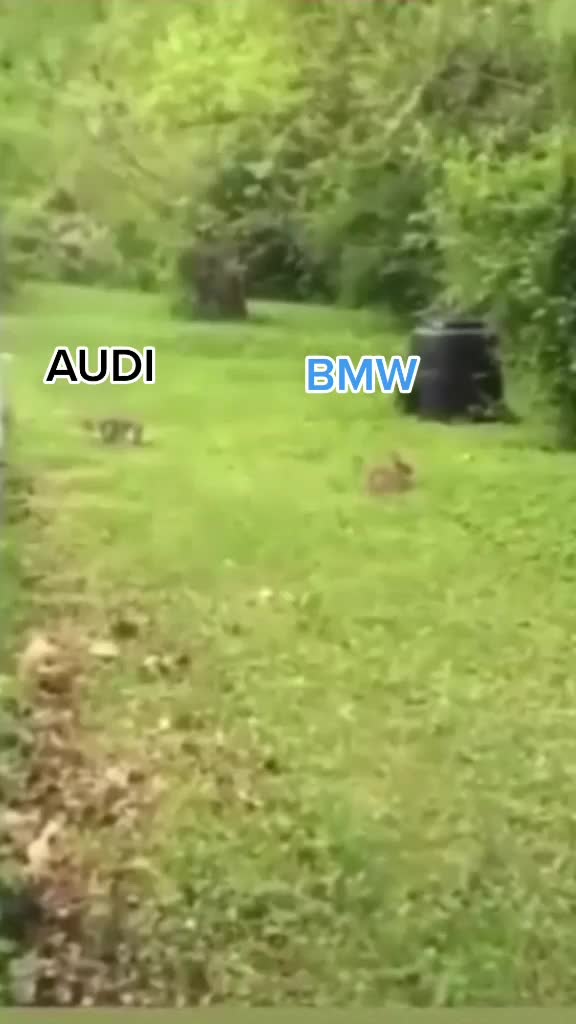 @Empire