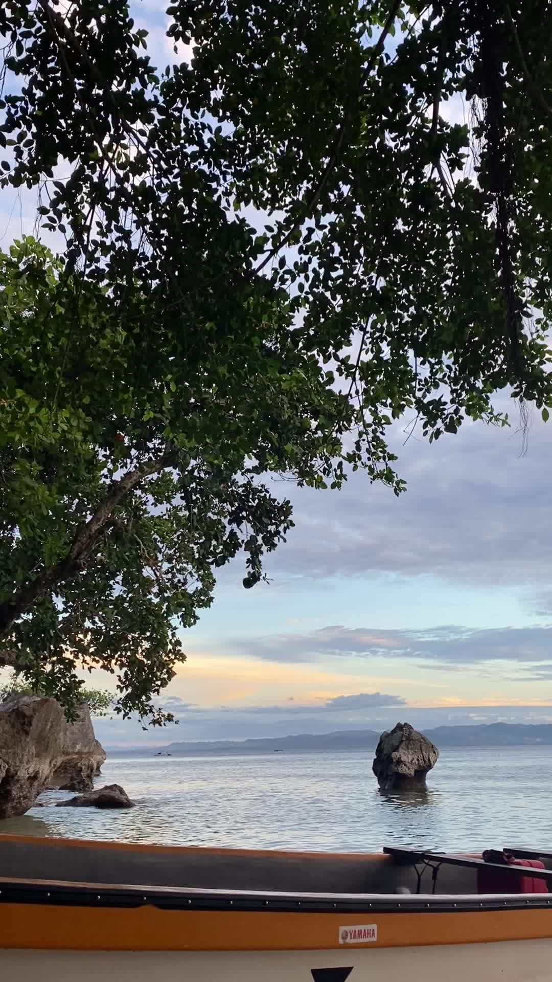 @dhinsee_