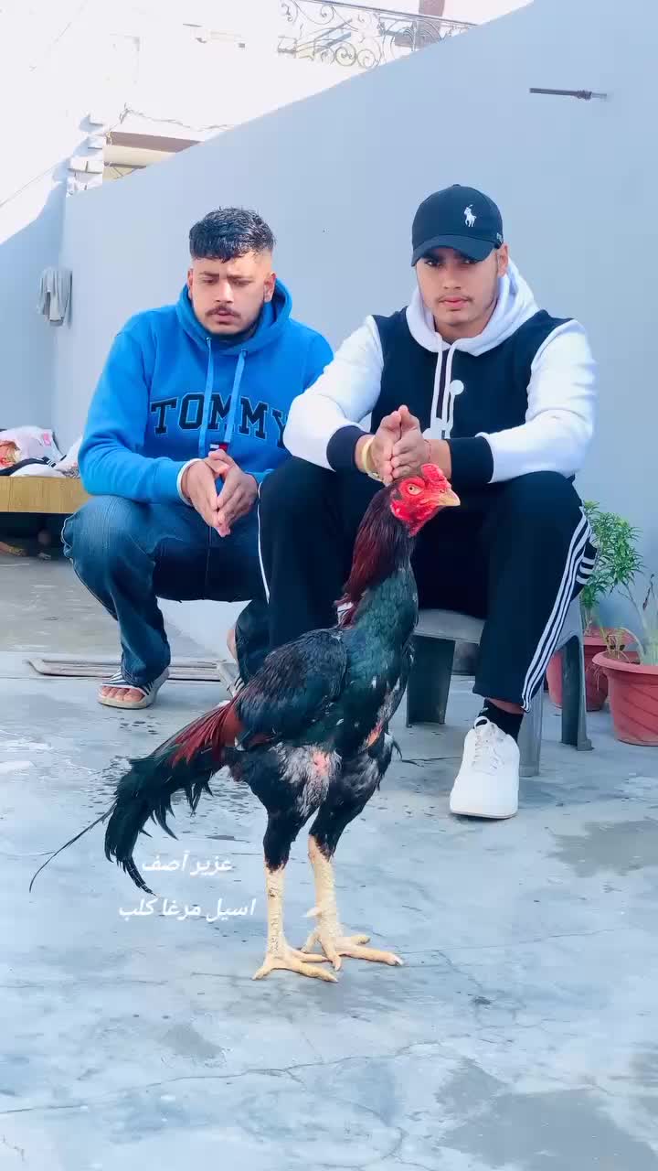 @Harinder Rajput 🇮🇳