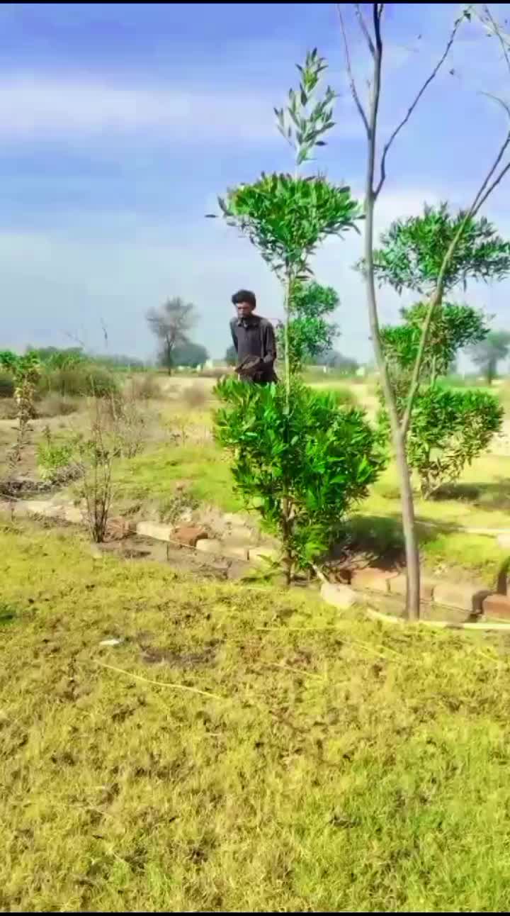 @Allah Ditta bijali 123