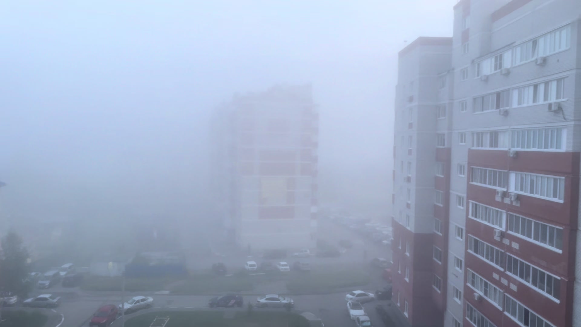 @_ветка😨