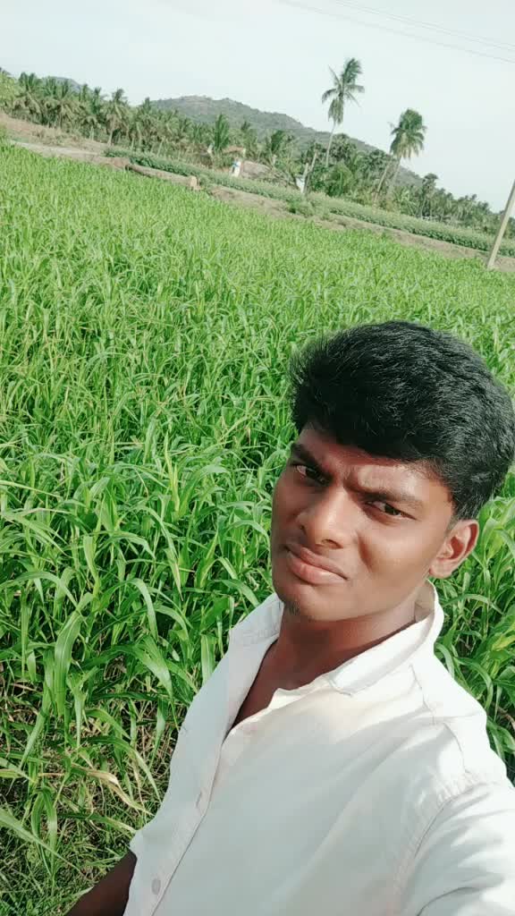 @maheshwaran