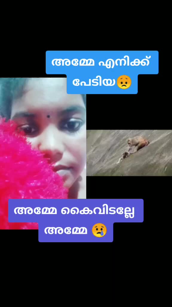 @sheenutty