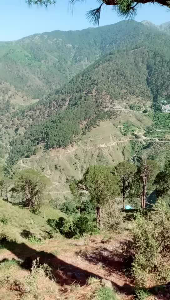 @@triptathakur.