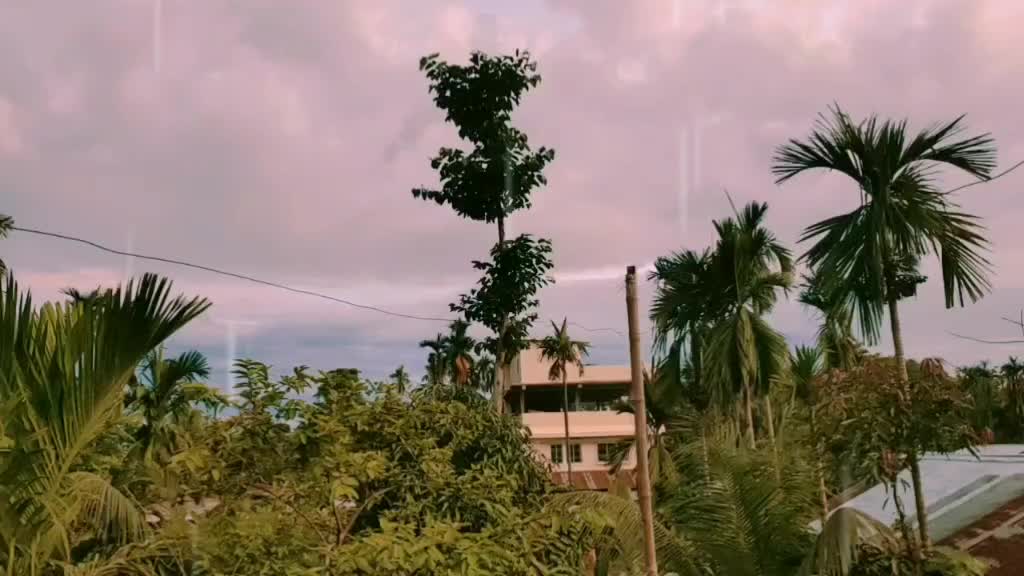 @Riya Tarafdar
