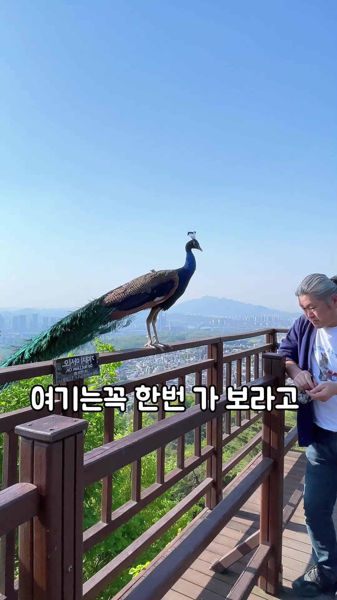 @삼촌