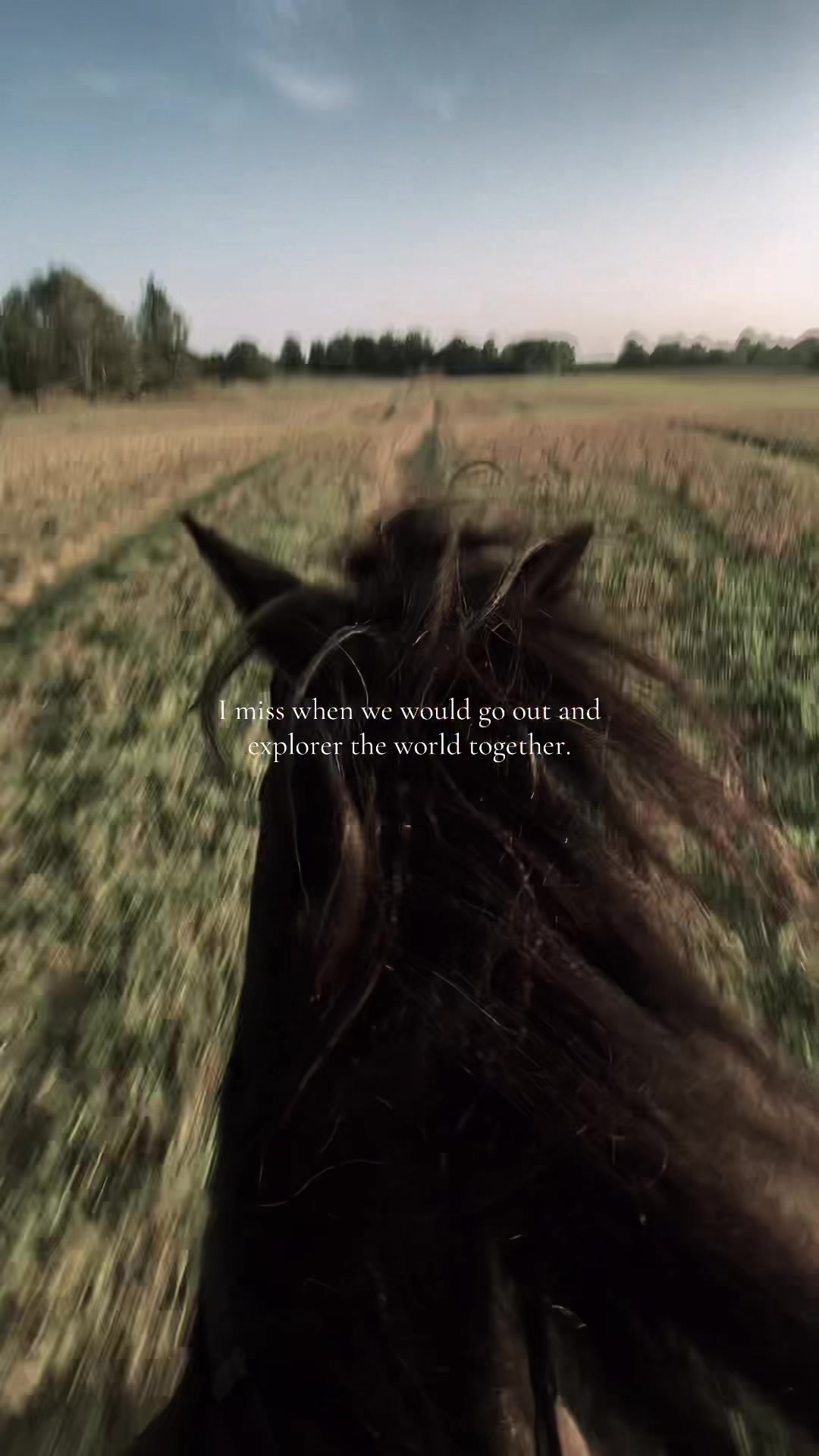 @𝓢𝓲𝓰𝓻𝓲𝓭