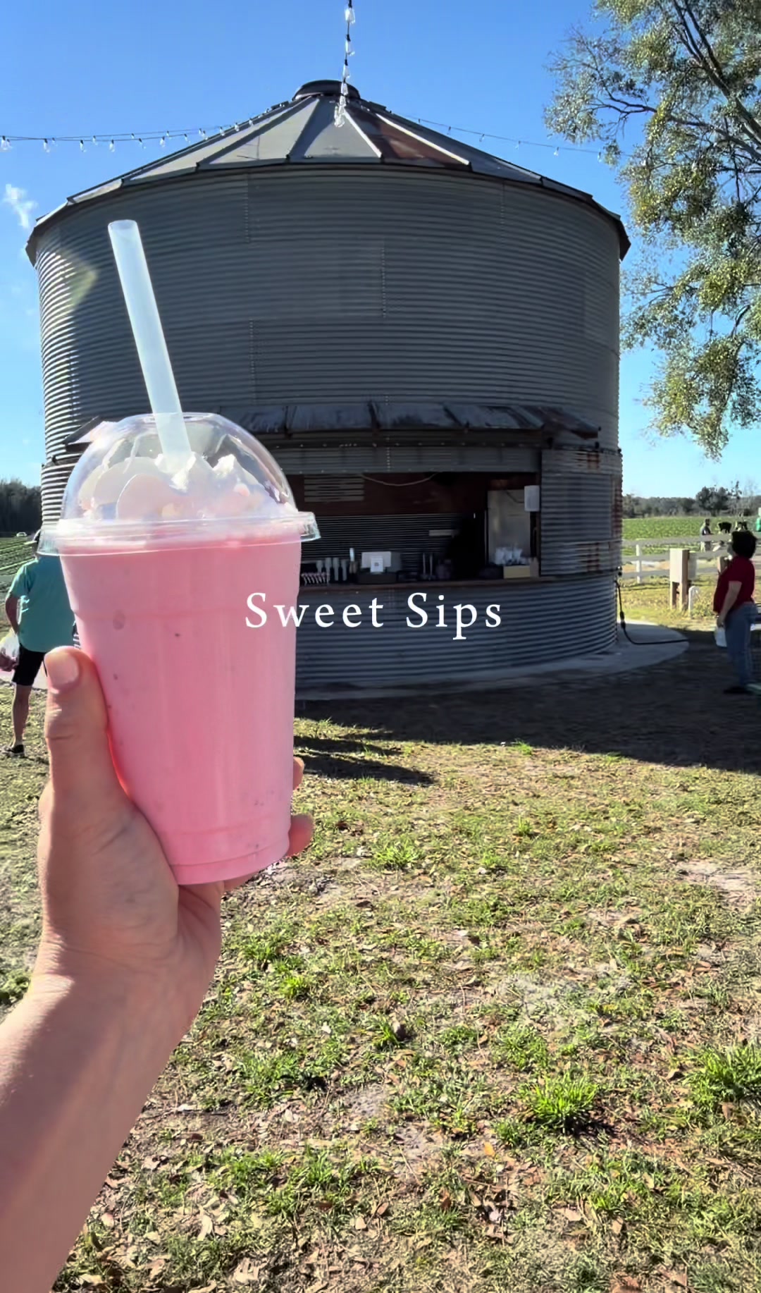 @Branford Farm Stand☀️