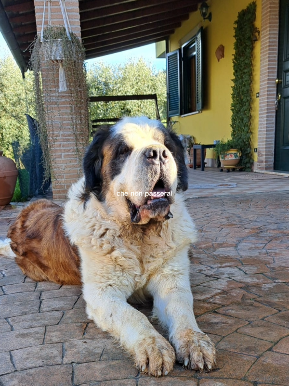@Azzurra Ponziani
