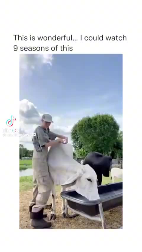 @bansky007