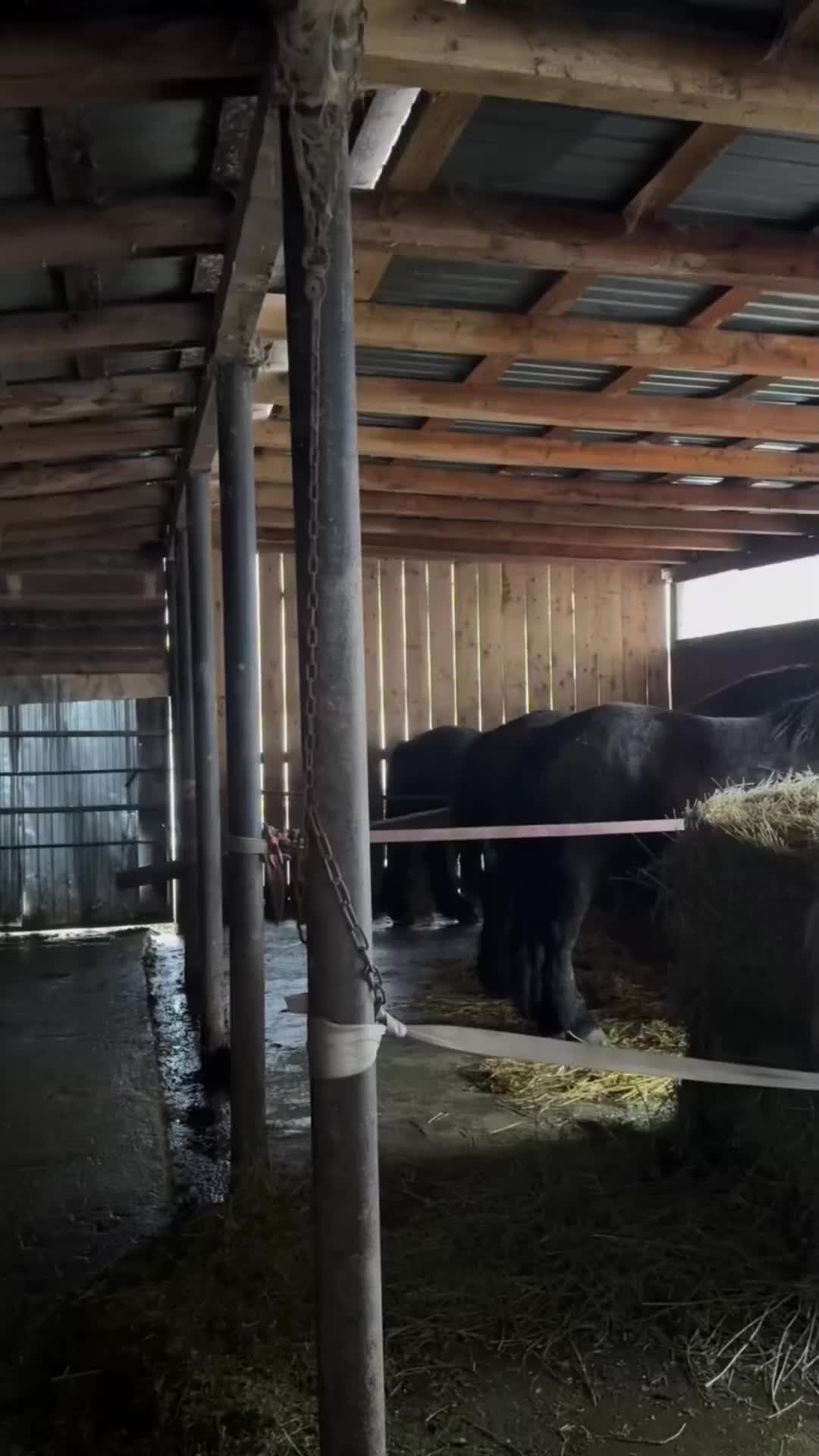 @🐴spartanu80🐴