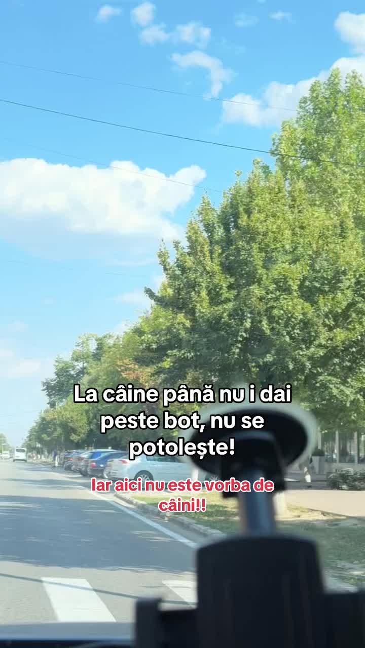 @ENE🩶