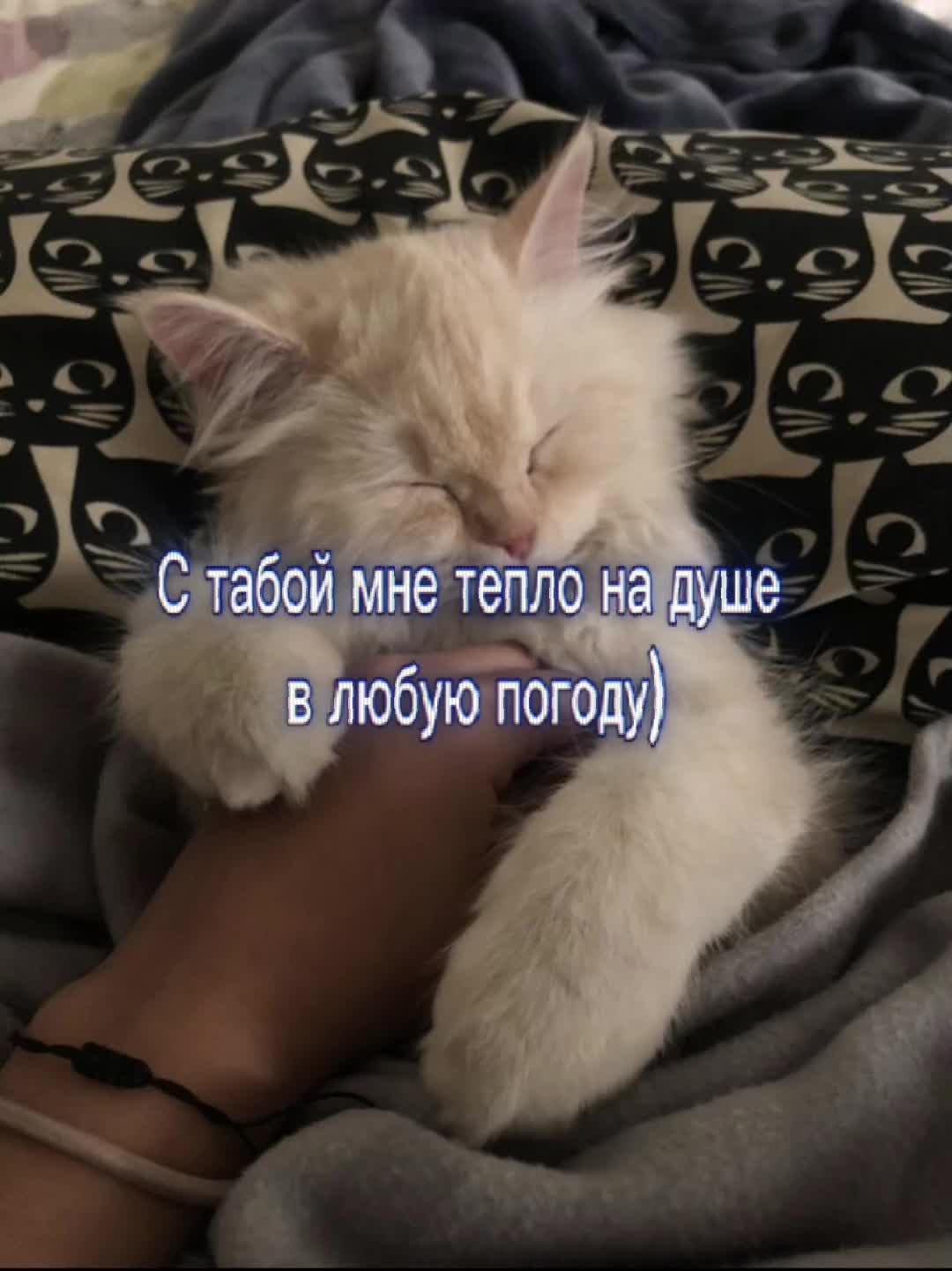@Я люблю Машулю
