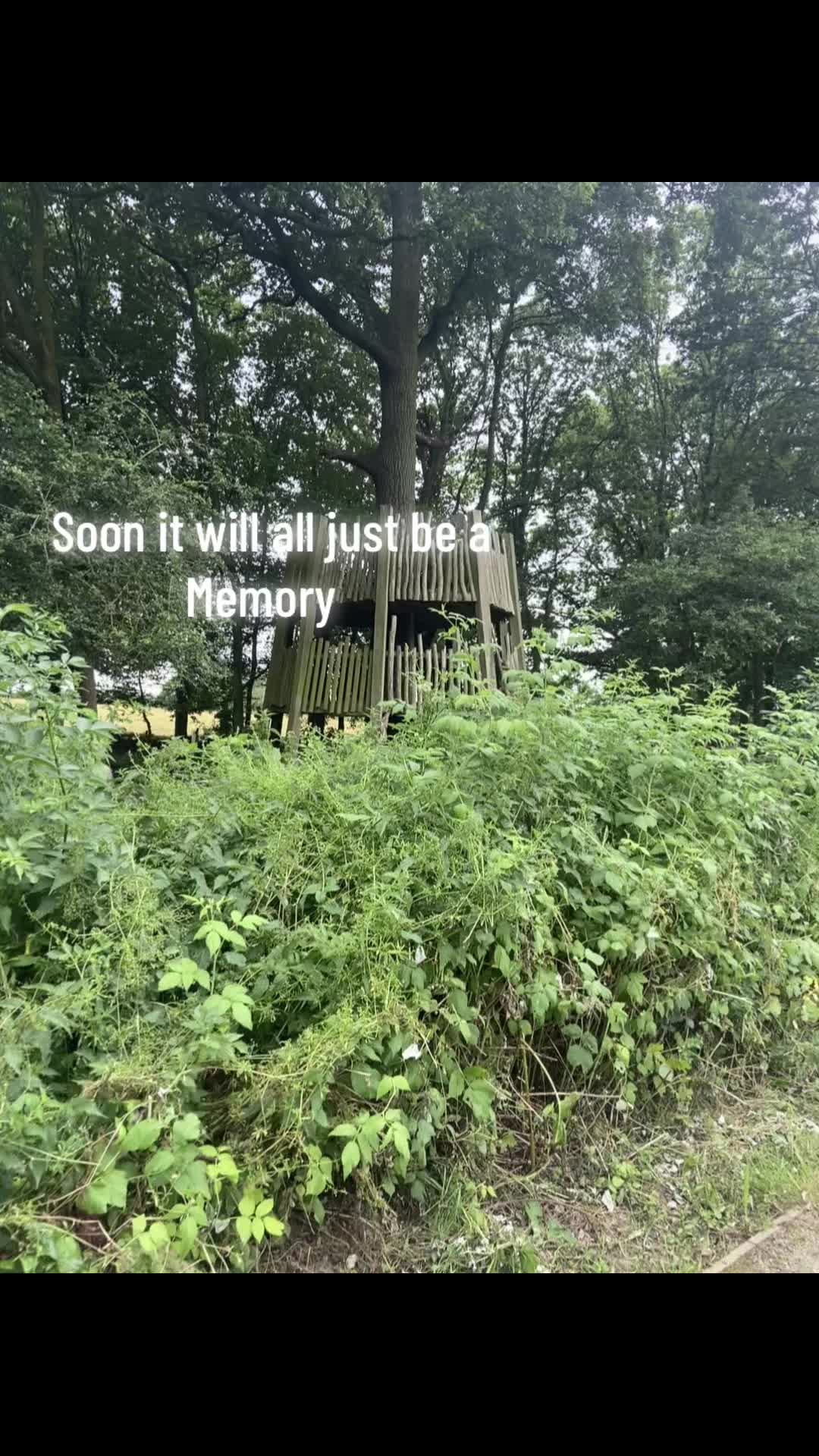 @-🌚???🌚-