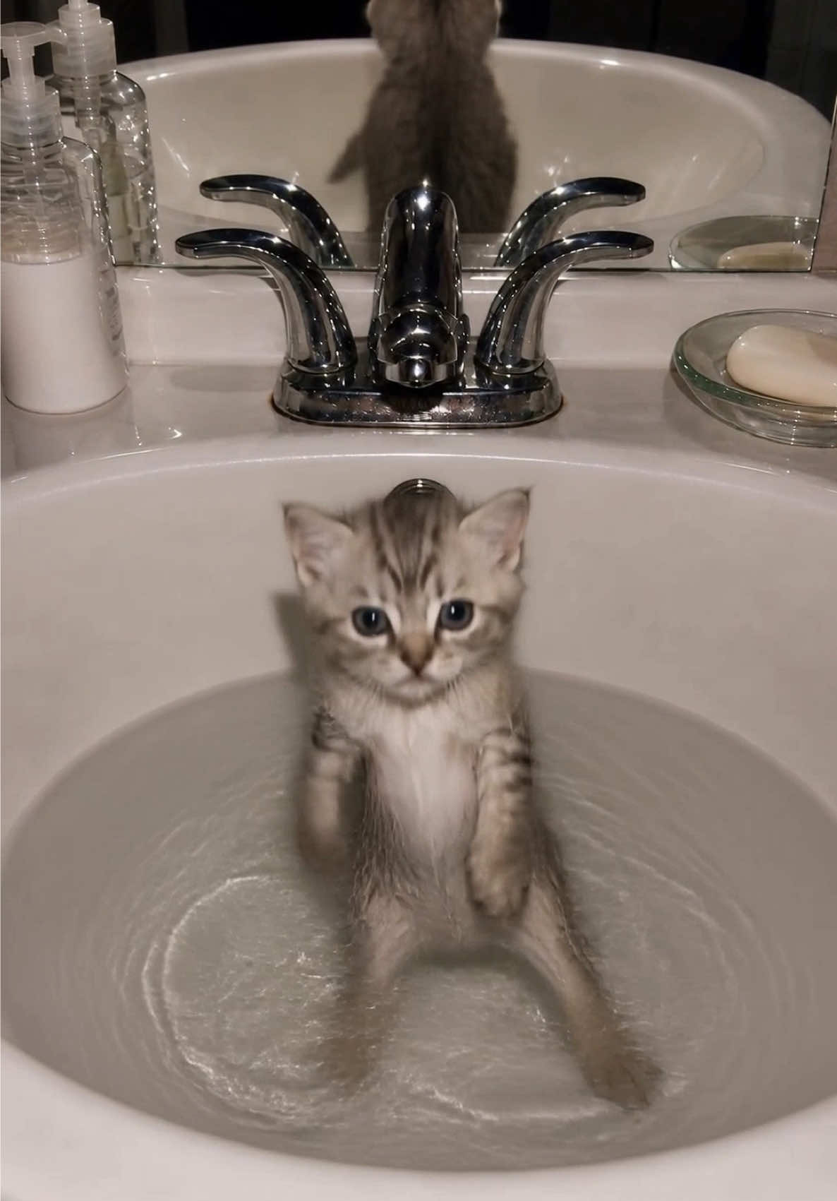 @meowmotion