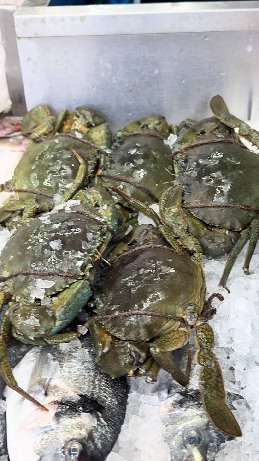 @Fishworld and Halal Meat
