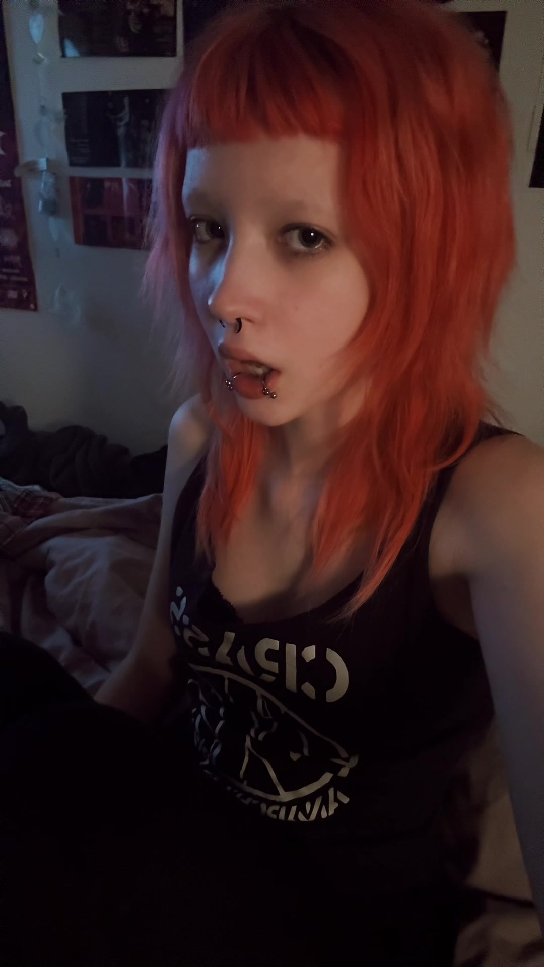 @nova🦇