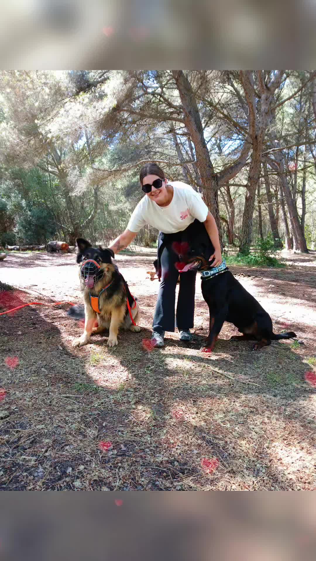 @🐾Onyx &Ruby 🐾