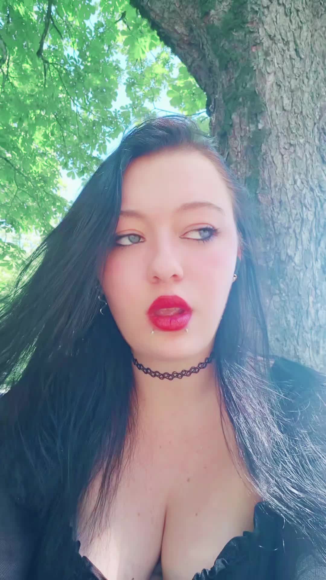 @bvb_spam