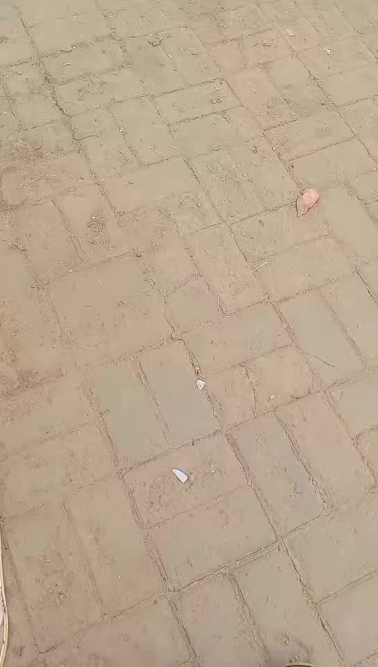 @جہانیاں کی شہزادی