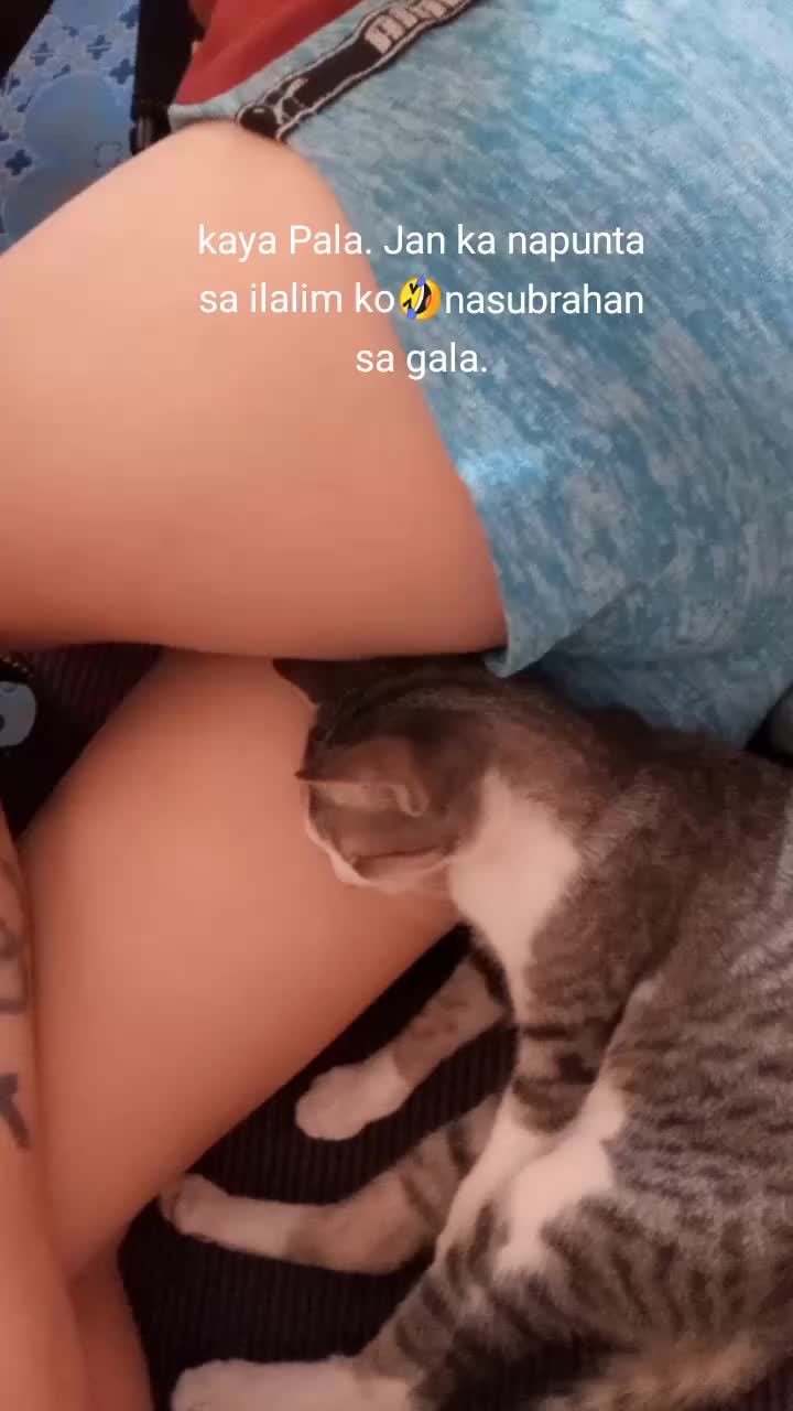 @Algie agapito miranda