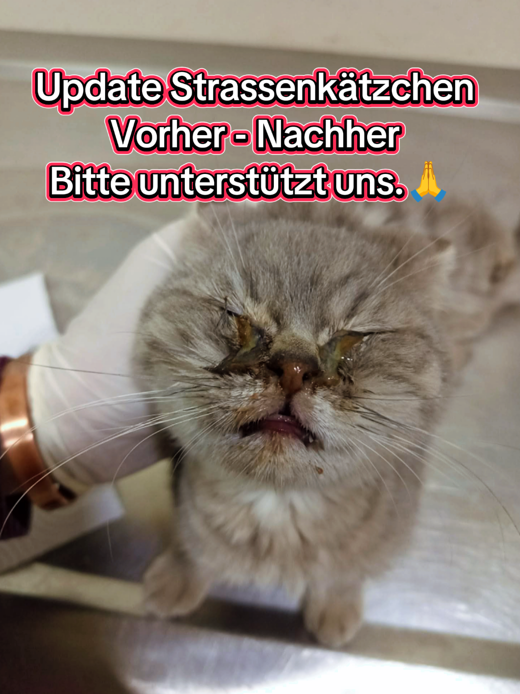 @TSV Candostlari-Beste Freunde