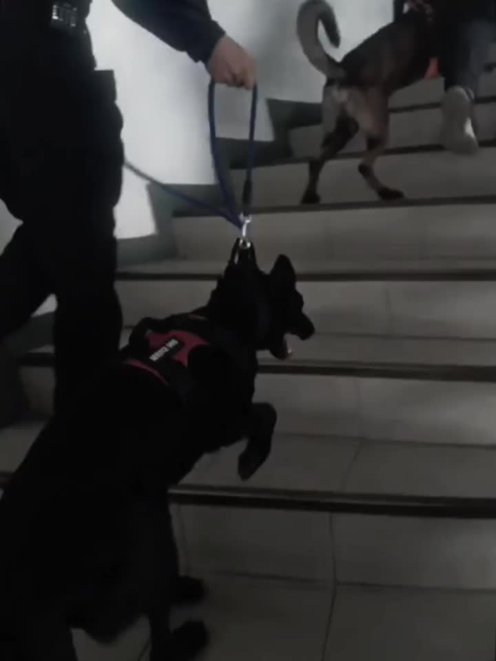 @DELTA...