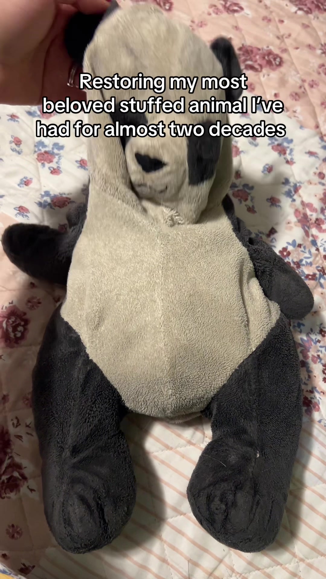 @ElderrrEmo