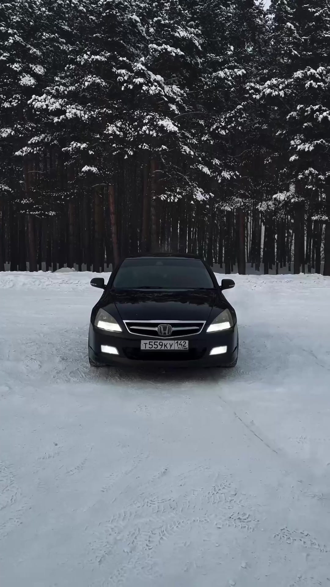 @kriss_lis🦊