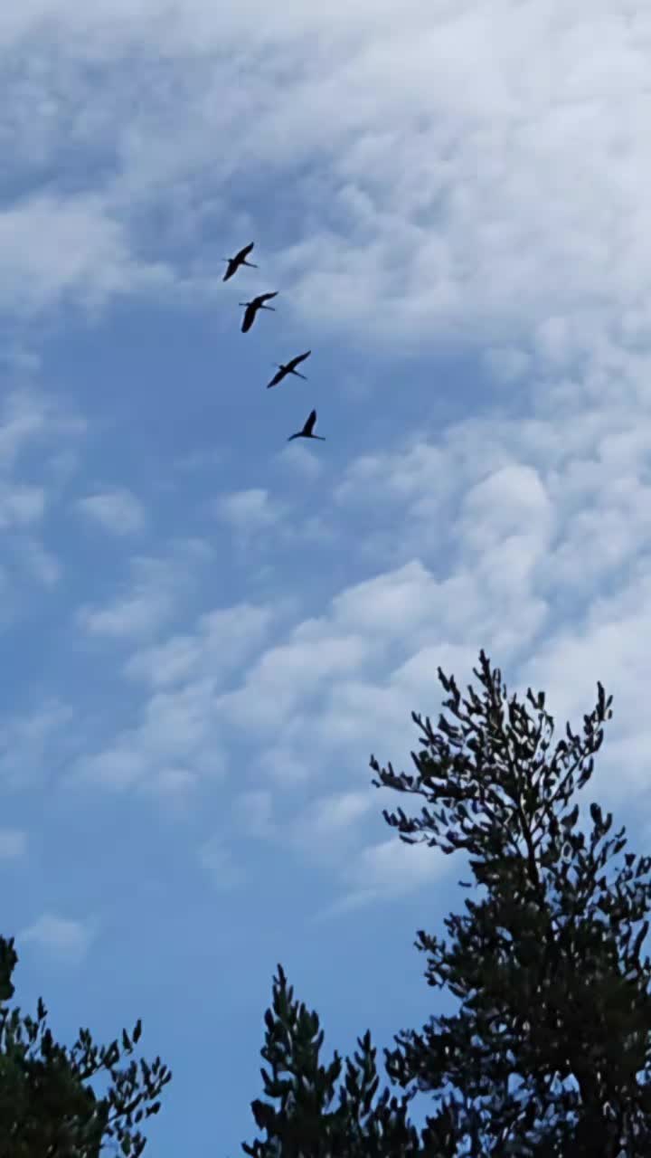 @Meimei🇫🇮Finland