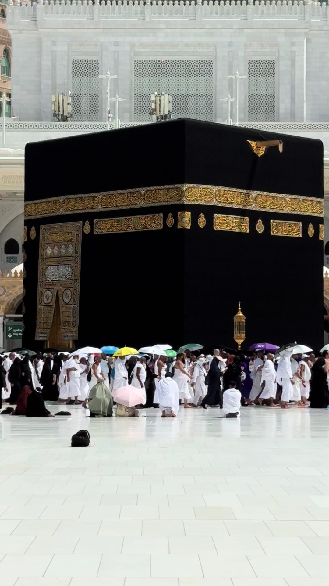 @طيوف الحرم