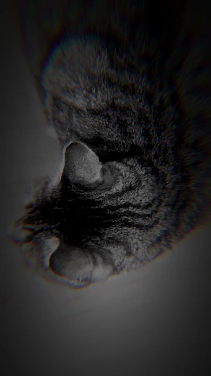 @Ezerarcú🎤📢🎭😺
